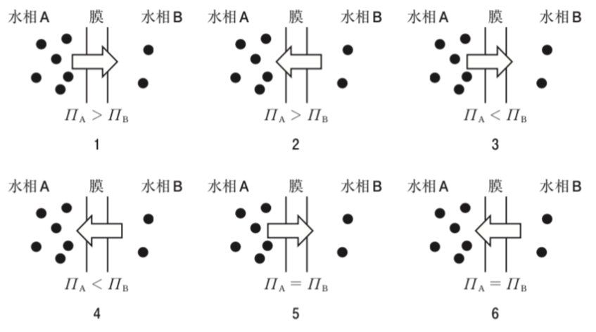 解説画像